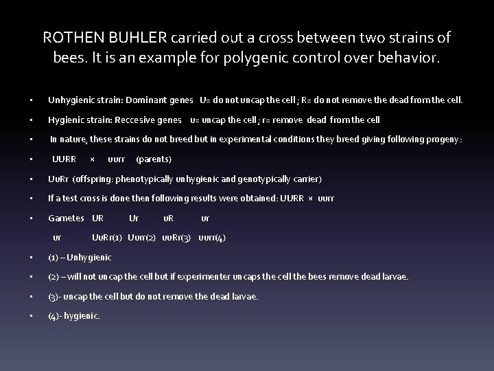 ROTHEN BUHLER carried out a cross between two strains of bees. It is an