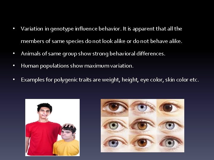  • Variation in genotype influence behavior. It is apparent that all the members