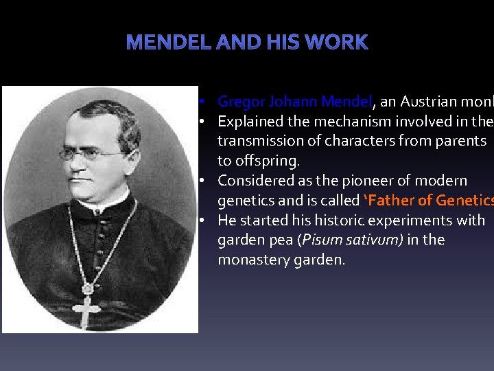  • Gregor Johann Mendel, an Austrian monk • Explained the mechanism involved in