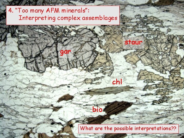 4. “Too many AFM minerals”: Interpreting complex assemblages staur gar chl bio What are