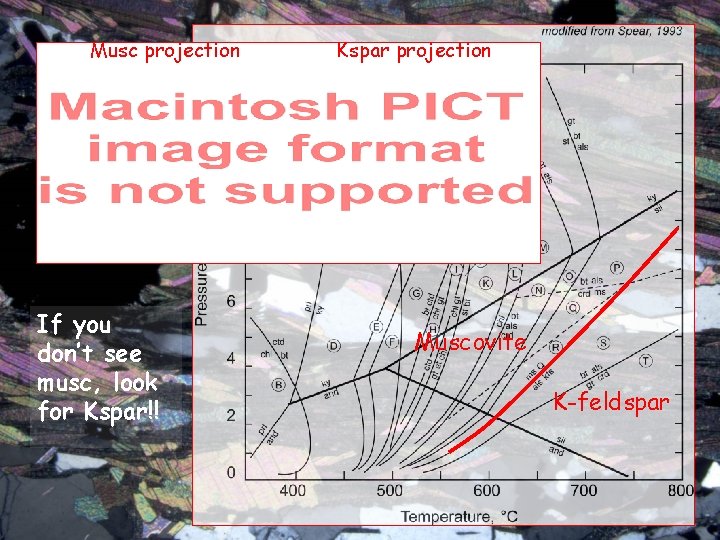 Musc projection If you don’t see musc, look for Kspar!! Kspar projection Muscovite K-feldspar