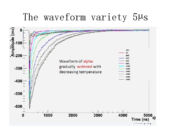 The waveform variety 5µs 