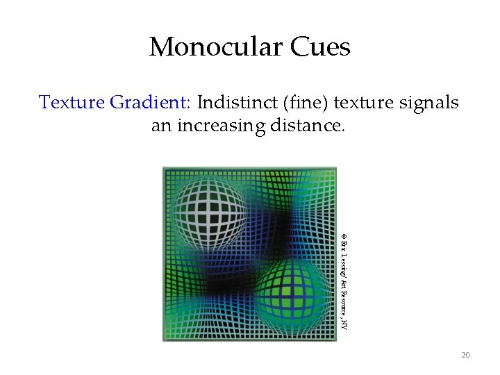 Monocular Cues Texture Gradient: Indistinct (fine) texture signals an increasing distance. © Eric Lessing/