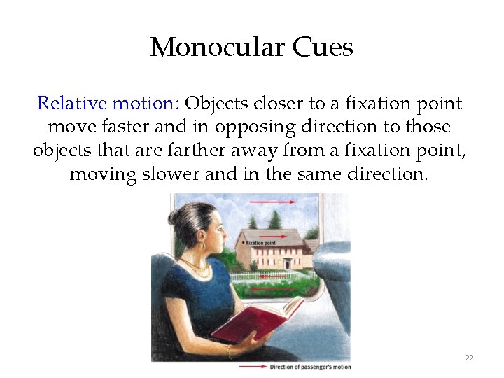 Monocular Cues Relative motion: Objects closer to a fixation point move faster and in