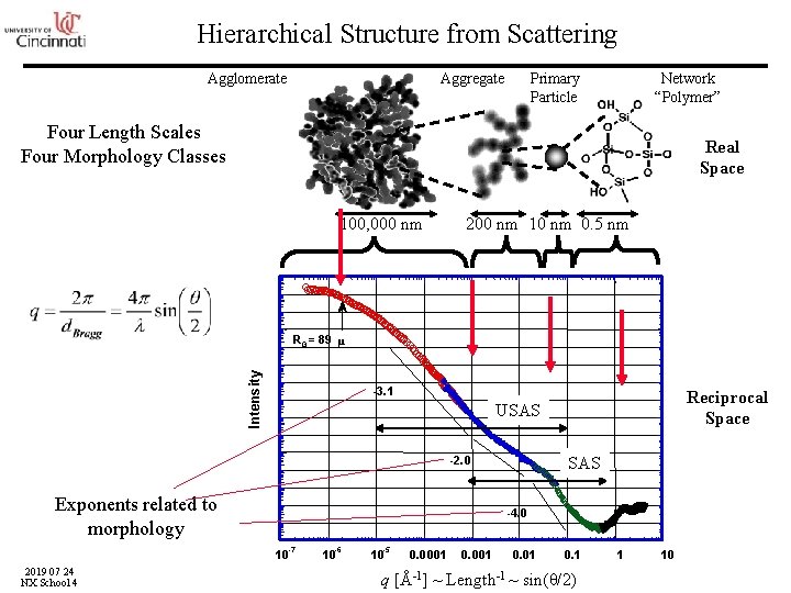 Hierarchical Structure from Scattering Agglomerate Aggregate Primary Particle Network “Polymer” Four Length Scales Four