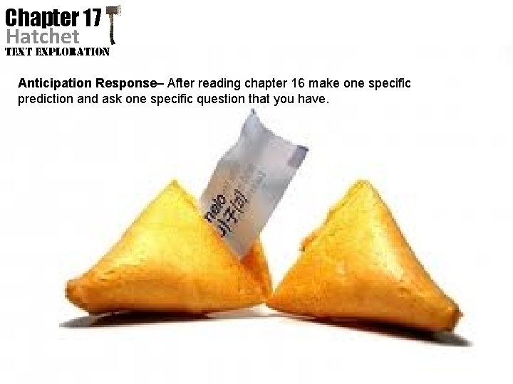 Chapter 17 Hatchet Anticipation Response– After reading chapter 16 make one specific prediction and