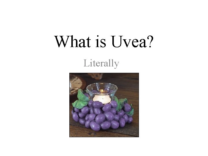 What is Uvea? Literally 