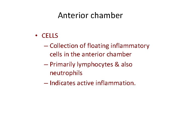 Anterior chamber • CELLS – Collection of floating inflammatory cells in the anterior chamber