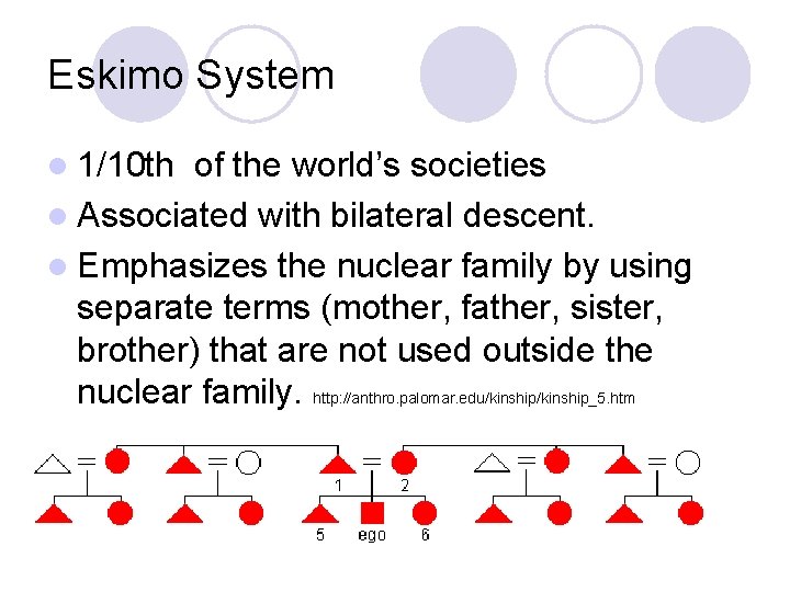 Eskimo System l 1/10 th of the world’s societies l Associated with bilateral descent.