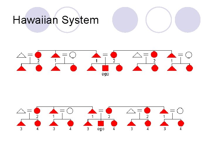 Hawaiian System 