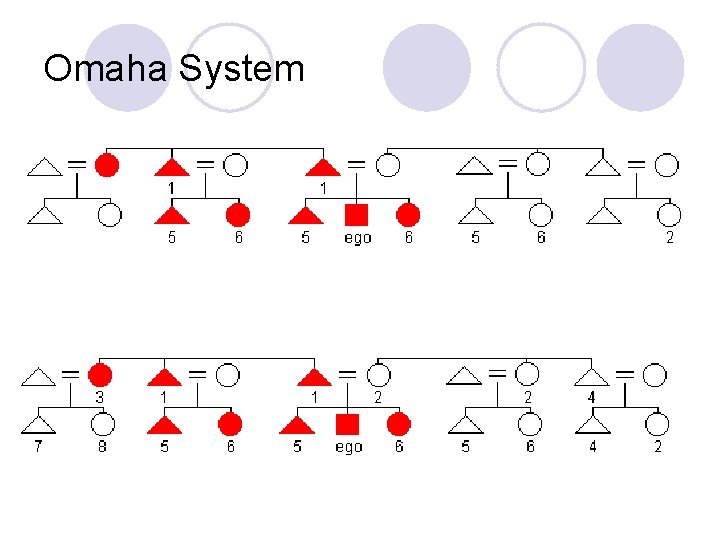 Omaha System 