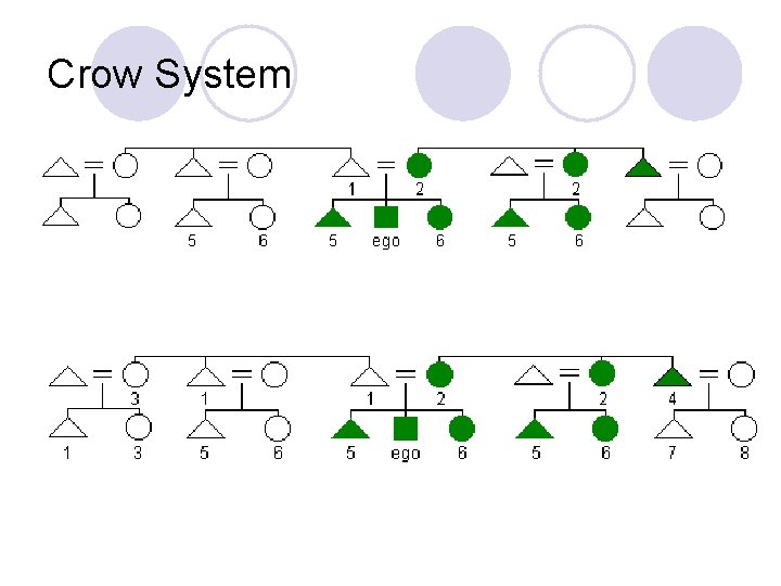 Crow System 