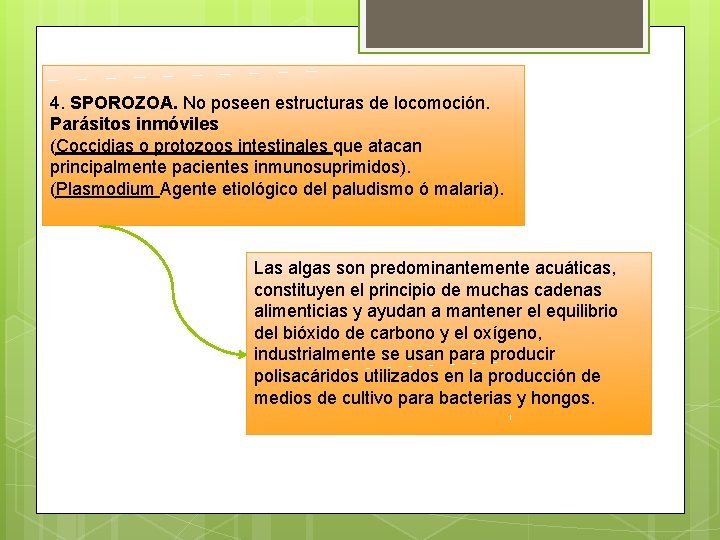 4. SPOROZOA. No poseen estructuras de locomoción. Parásitos inmóviles (Coccidias o protozoos intestinales que 4. SPOROZOA. No poseen estructuras de locomoción. Parásitos inmóviles (Coccidias o protozoos intestinales que