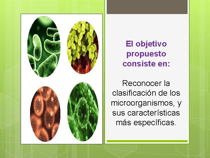 El objetivo propuesto consiste en: Reconocer la clasificación de los microorganismos, y sus características El objetivo propuesto consiste en: Reconocer la clasificación de los microorganismos, y sus características