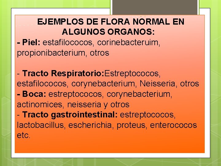 EJEMPLOS DE FLORA NORMAL EN ALGUNOS ORGANOS: - Piel: estafilococos, corinebacteruim, propionibacterium, otros EJEMPLOS DE FLORA NORMAL EN ALGUNOS ORGANOS: - Piel: estafilococos, corinebacteruim, propionibacterium, otros