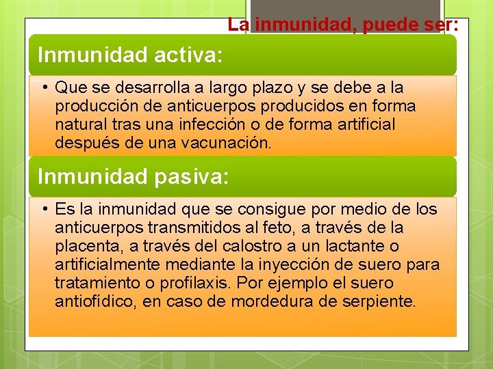 La inmunidad, puede ser: Inmunidad activa: • Que se desarrolla a largo plazo y La inmunidad, puede ser: Inmunidad activa: • Que se desarrolla a largo plazo y