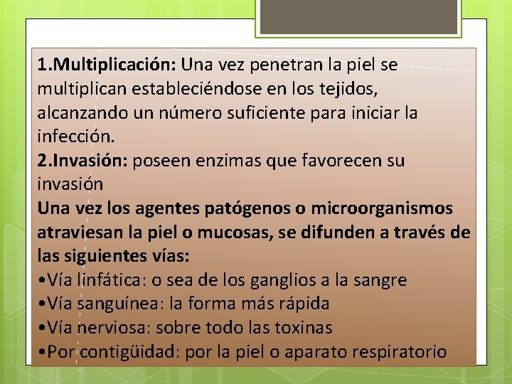1. Multiplicación: Una vez penetran la piel se multiplican estableciéndose en los tejidos, alcanzando 1. Multiplicación: Una vez penetran la piel se multiplican estableciéndose en los tejidos, alcanzando