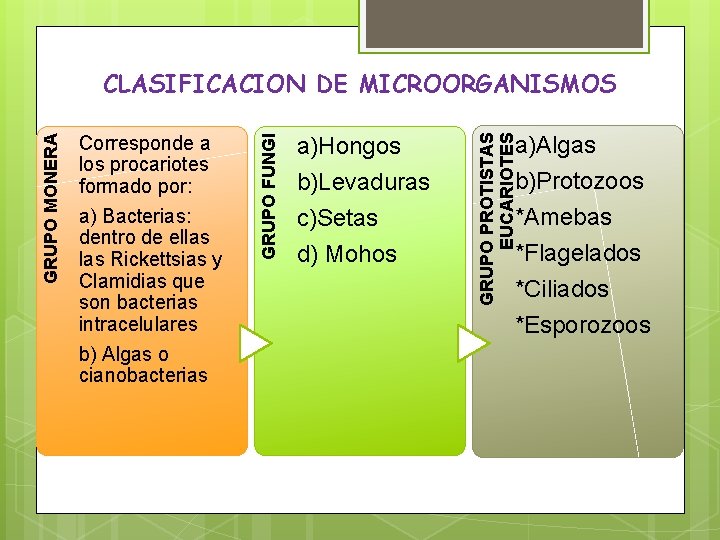 a) Bacterias: dentro de ellas Rickettsias y Clamidias que son bacterias intracelulares b) Algas a) Bacterias: dentro de ellas Rickettsias y Clamidias que son bacterias intracelulares b) Algas