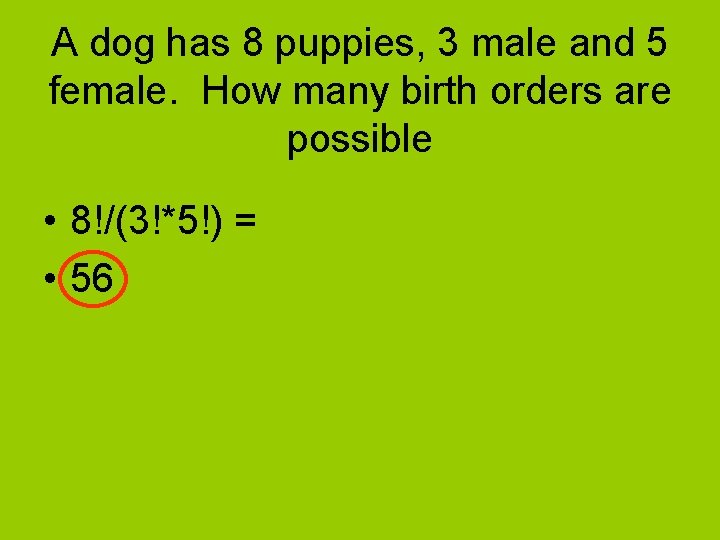 A dog has 8 puppies, 3 male and 5 female. How many birth orders