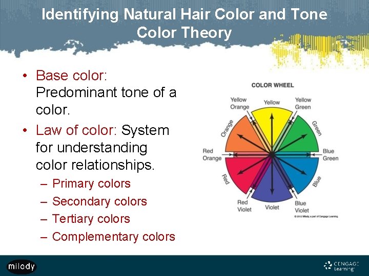 Identifying Natural Hair Color and Tone Color Theory • Base color: Predominant tone of