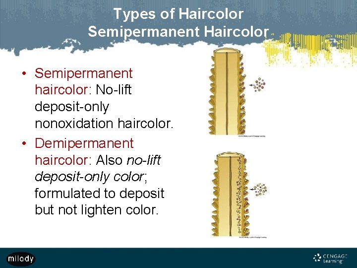 Types of Haircolor Semipermanent Haircolor • Semipermanent haircolor: No-lift deposit-only nonoxidation haircolor. • Demipermanent