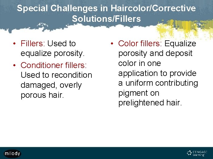 Special Challenges in Haircolor/Corrective Solutions/Fillers • Fillers: Used to equalize porosity. • Conditioner fillers: