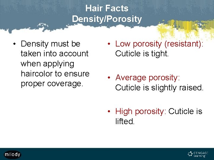 Hair Facts Density/Porosity • Density must be taken into account when applying haircolor to