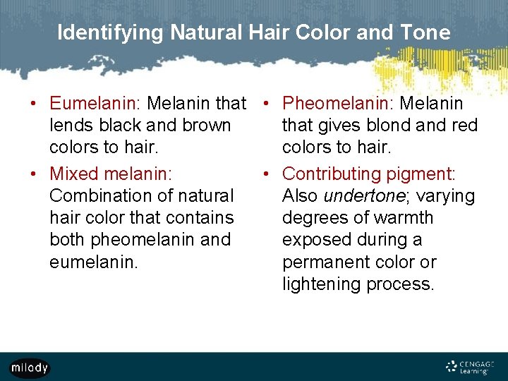 Identifying Natural Hair Color and Tone • Eumelanin: Melanin that • Pheomelanin: Melanin lends