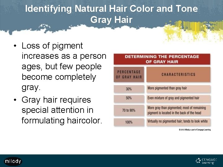 Identifying Natural Hair Color and Tone Gray Hair • Loss of pigment increases as