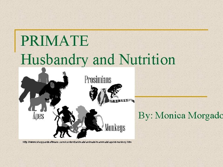 PRIMATE Husbandry and Nutrition By: Monica Morgado http: //www. sheppardsoftware. com/content/animals/mammals/apevsmonkey. htm 