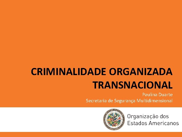 CRIMINALIDADE ORGANIZADA TRANSNACIONAL Paulina Duarte Secretaria de Segurança Multidimensional 