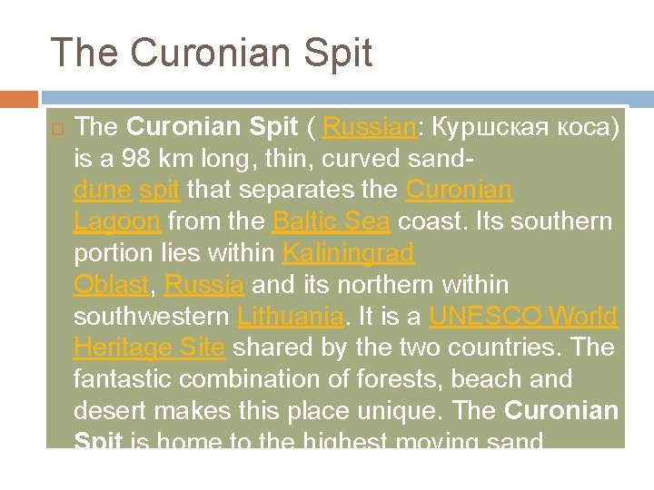 The Curonian Spit ( Russian: Куршская коса) is a 98 km long, thin, curved