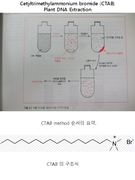 Cetyltrimethylammonium bromide (CTAB) Plant DNA Extraction CTAB method 순서의 요약. CTAB 의 구조식 