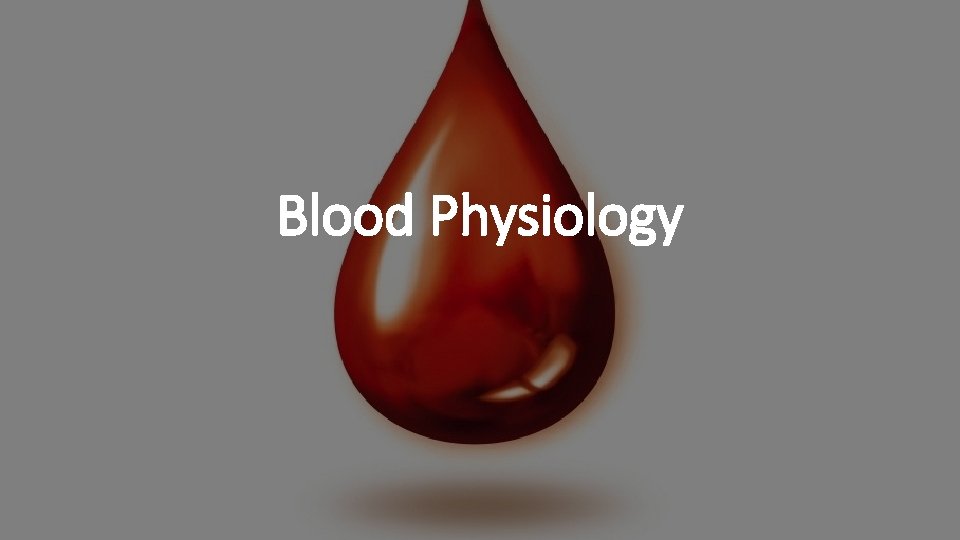 Blood Physiology 