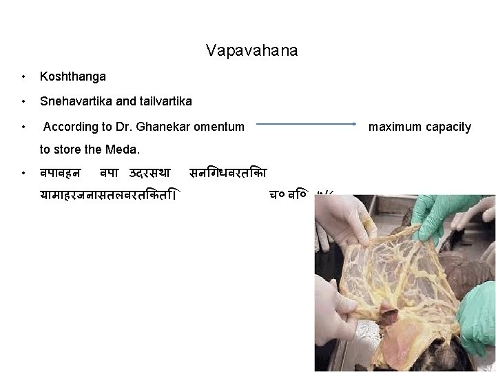 Vapavahana • Koshthanga • Snehavartika and tailvartika • According to Dr. Ghanekar omentum maximum