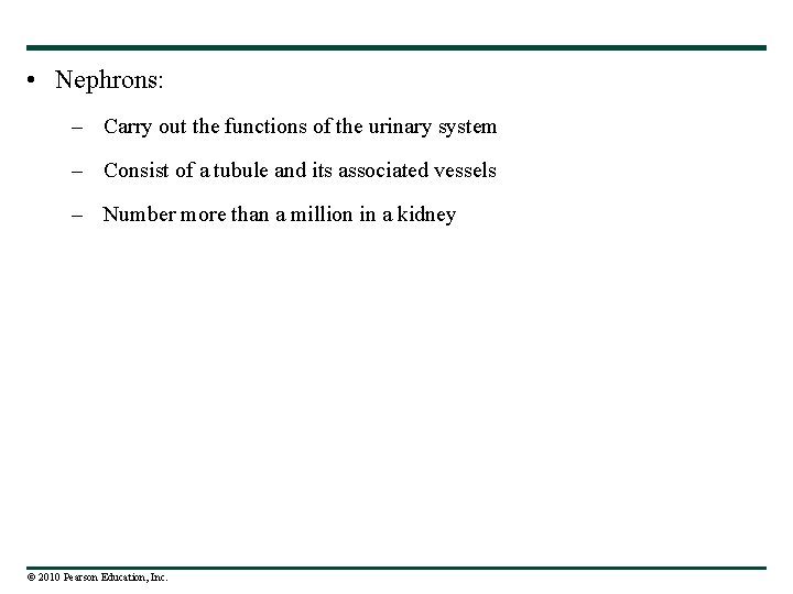  • Nephrons: – Carry out the functions of the urinary system – Consist