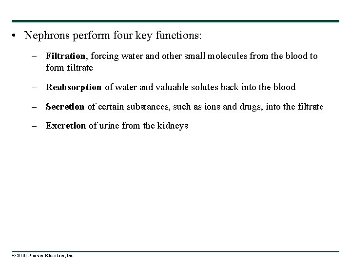  • Nephrons perform four key functions: – Filtration, forcing water and other small