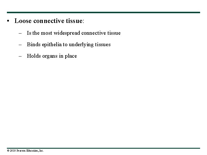  • Loose connective tissue: – Is the most widespread connective tissue – Binds