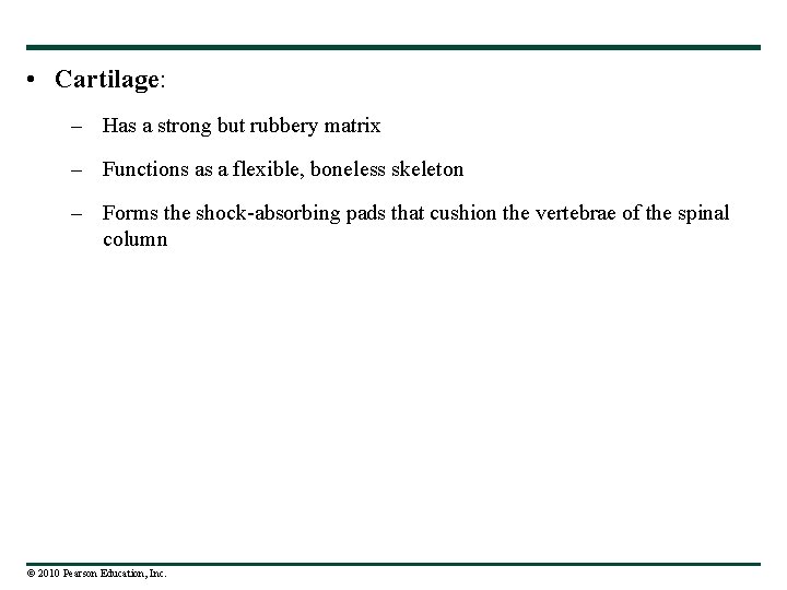  • Cartilage: – Has a strong but rubbery matrix – Functions as a