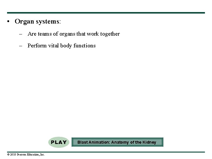  • Organ systems: – Are teams of organs that work together – Perform