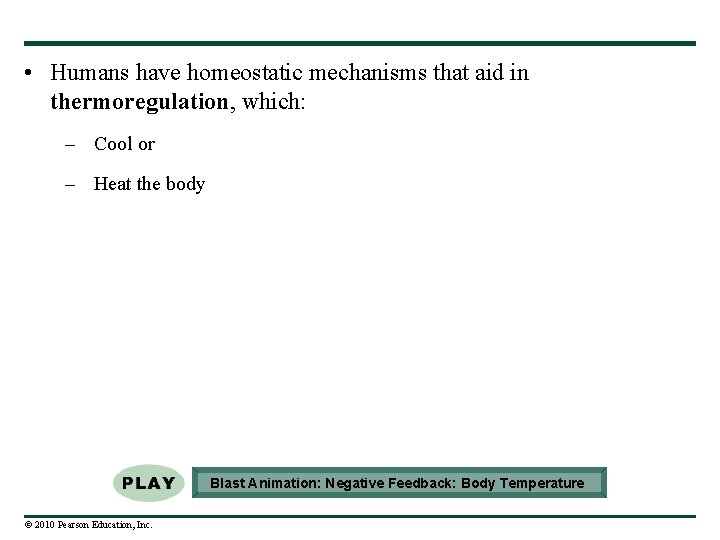  • Humans have homeostatic mechanisms that aid in thermoregulation, which: – Cool or