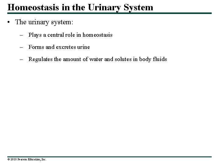 Homeostasis in the Urinary System • The urinary system: – Plays a central role