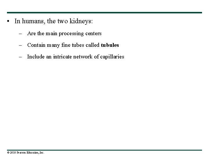  • In humans, the two kidneys: – Are the main processing centers –