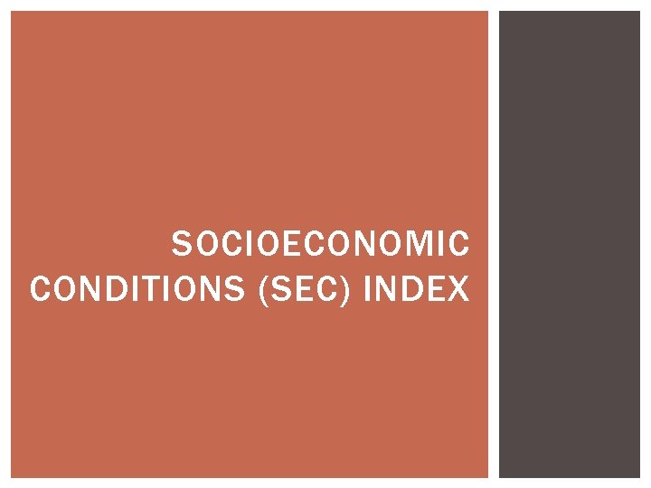 SOCIOECONOMIC CONDITIONS (SEC) INDEX SOCIOECONOMIC CONDITIONS (SEC) INDEX