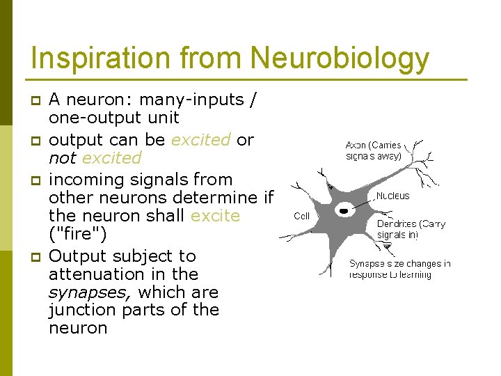 Inspiration from Neurobiology p p A neuron: many-inputs / one-output unit output can be