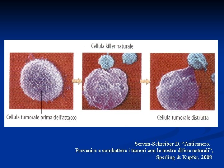 Servan-Schreiber D. “Anticancro. Prevenire e combattere i tumori con le nostre difese naturali”, Sperling