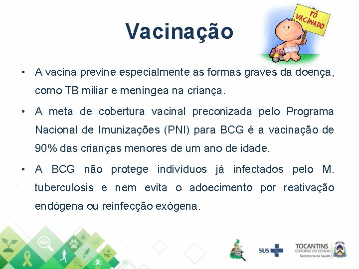 Vacinação • A vacina previne especialmente as formas graves da doença, como TB miliar Vacinação • A vacina previne especialmente as formas graves da doença, como TB miliar