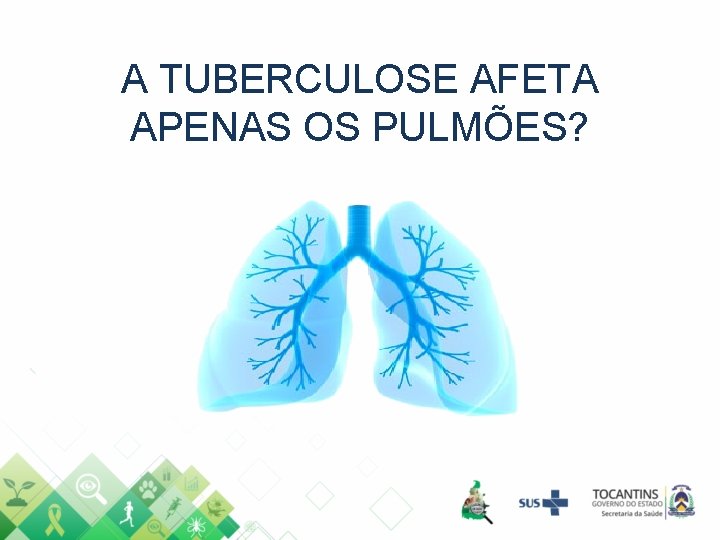 A TUBERCULOSE AFETA APENAS OS PULMÕES? 