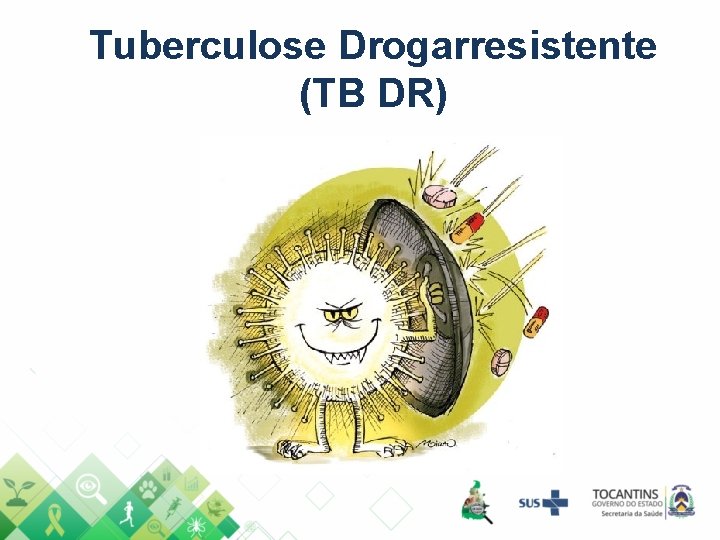 Tuberculose Drogarresistente (TB DR) Tuberculose Drogarresistente (TB DR)