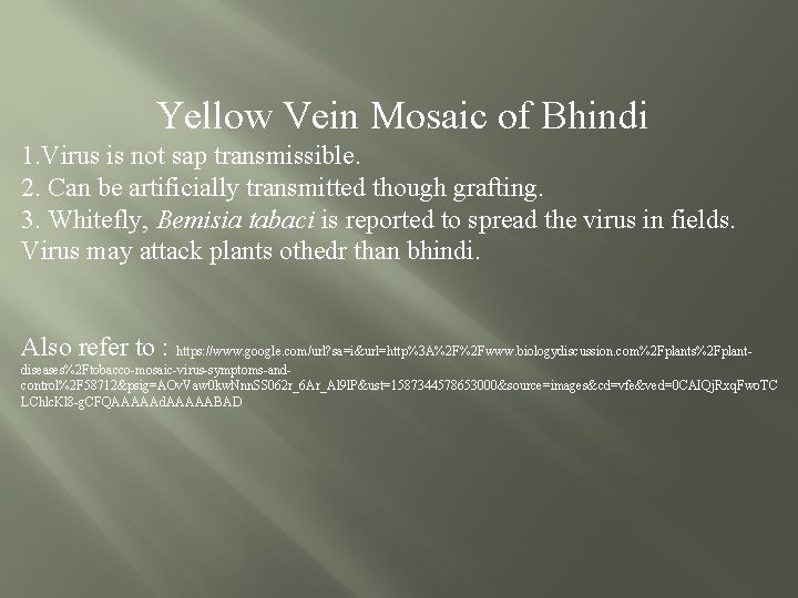 Yellow Vein Mosaic of Bhindi 1. Virus is not sap transmissible. 2. Can be